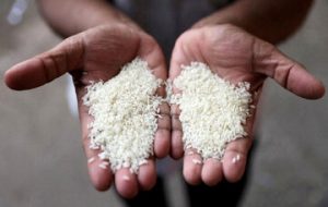 برنج پاکستانی بجای برنج ایرانی تخلیه و بسته بندی در مازندران