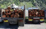 کشف 6 تن چوب جنگلی در نوشهر