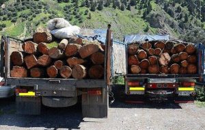 کشف 6 تن چوب جنگلی در نوشهر